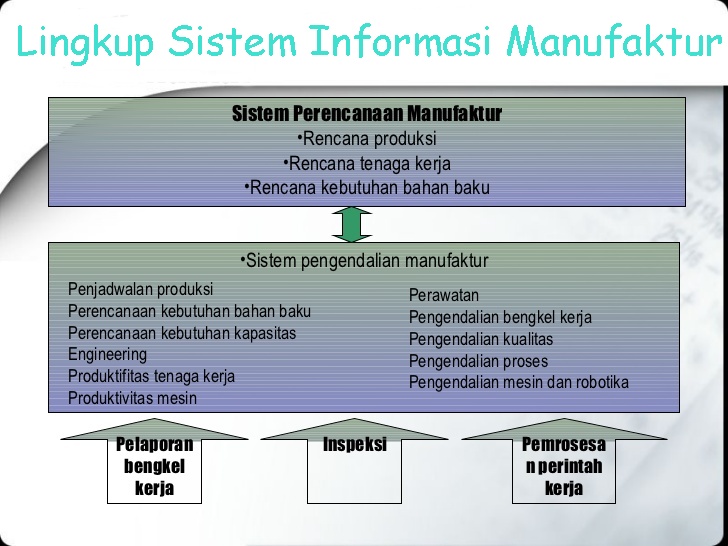 fungsi sistem informasi
